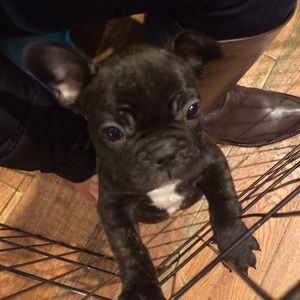 Meet your Posher, Emily