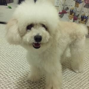 Meet your Posher, Kelly