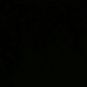 Meet your Posher, Jesus