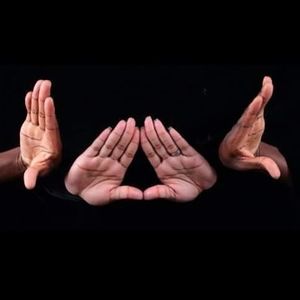 Meet your Posher, Bea