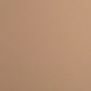 Meet your Posher, Tonya