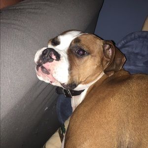 Meet your Posher, Eric