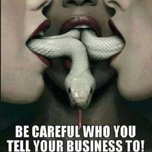 Meet your Posher, Jenny