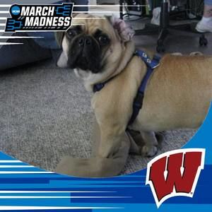 Meet your Posher, Devin