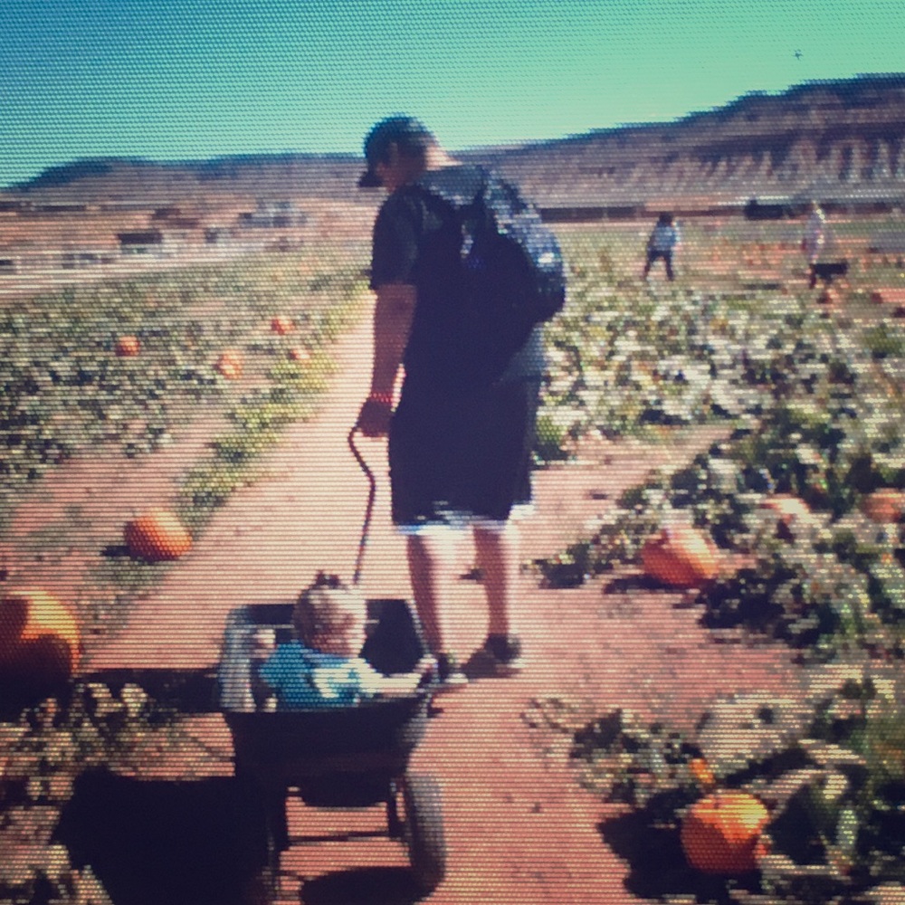 Meet your Posher, Drew