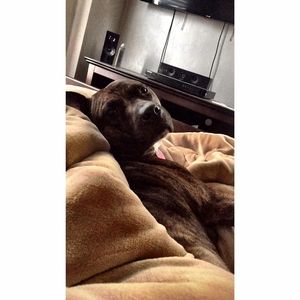 Meet your Posher, Jason