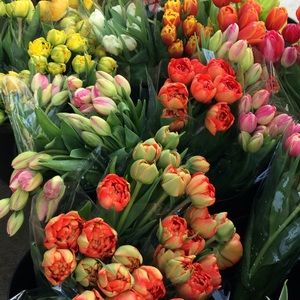 Meet your Posher, Jena