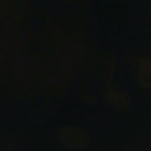 Meet your Posher, Frances