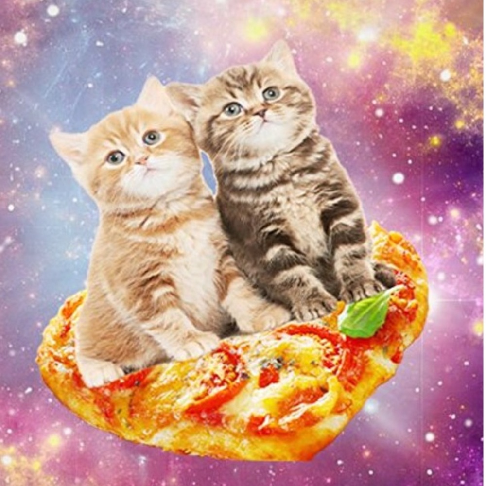 🌸❤️💜💙🤘💀🤘💙💜❤️🌸