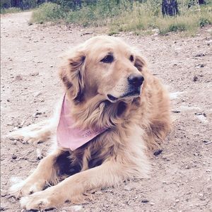 Meet your Posher, Mindy