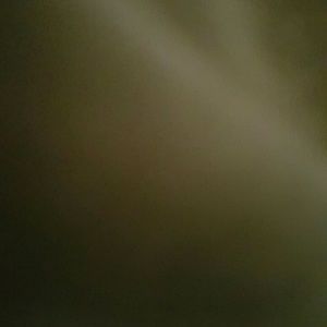 Meet your Posher, Brittney