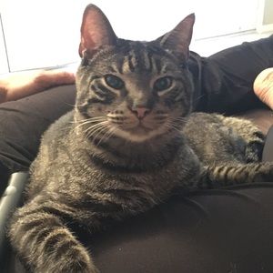 Meet your Posher, Suthep