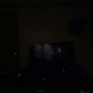 Meet your Posher, Delaney