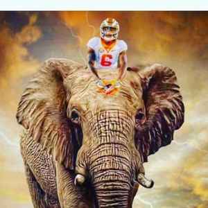 Meet your Posher, Tamera