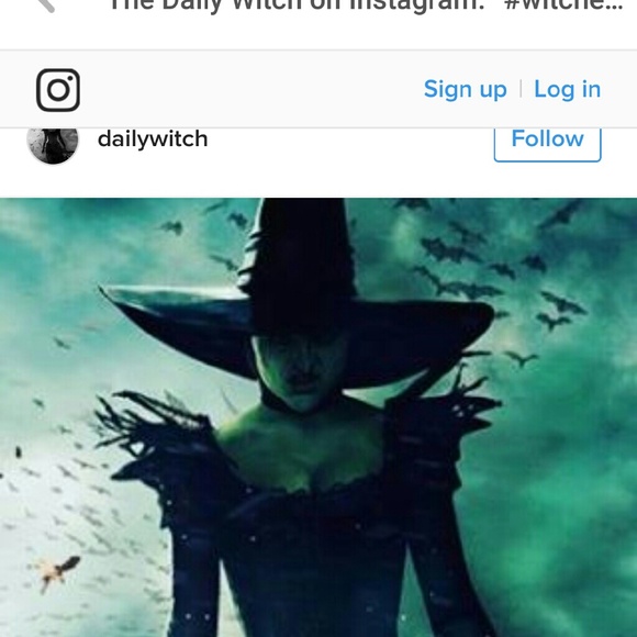 Meet your Posher, Molly - Picture 1 of 1