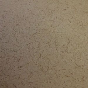 Meet your Posher, Craig