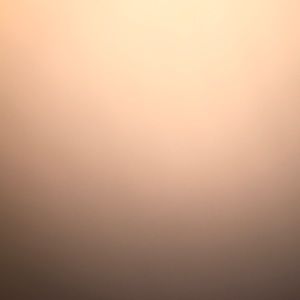 Meet your Posher, Tesa