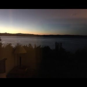 Meet your Posher, Bella