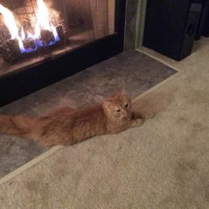 Meet your Posher, Cheryl