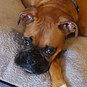 Meet your Posher, Diane