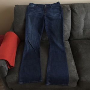 Joe's Jeans Visionaire Size 31
