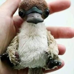 Meet your Posher, Kathie