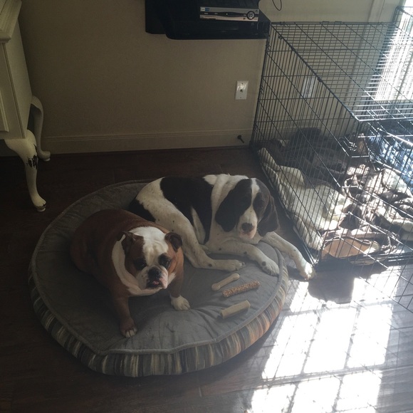 Meet your Posher, Amy Fraser - Picture 2 of 2