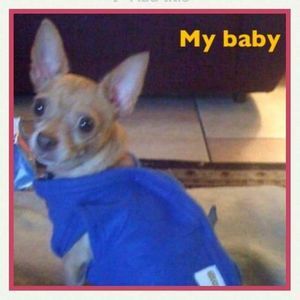 Meet your Posher, Lori