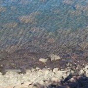 Meet your Posher, Miranda