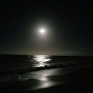 Meet your Posher, Paul