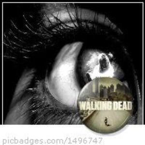 Meet your Posher, Connie