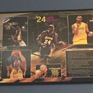 Meet your Posher, Ernesto