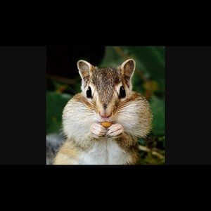 Meet your Posher, Holly