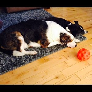 Meet your Posher, Brooklyn