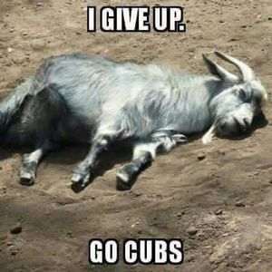 Meet your Posher, Kathleen