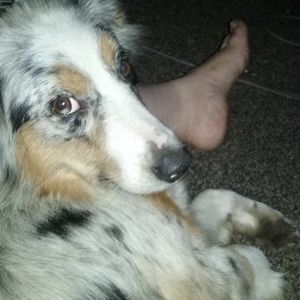 Meet your Posher, Chelsea