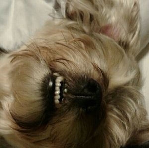 Meet your Posher, Tina