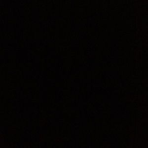 Meet your Posher, Precious