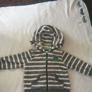 Striped Dinosaur Hoodie