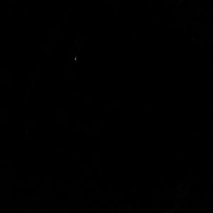 Meet your Posher, Adrienne