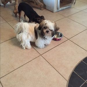 Meet your Posher, Beatriz