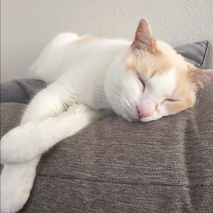 Meet your Posher, Christine