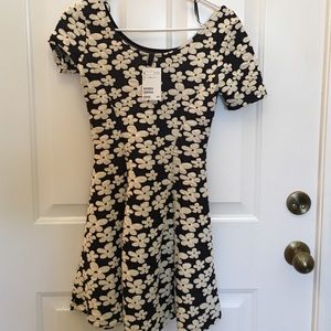 Brand New H&M Dress 6 Navy & Ivory