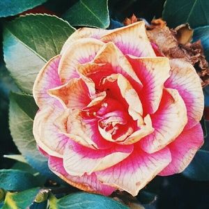 Meet your Posher, Klara