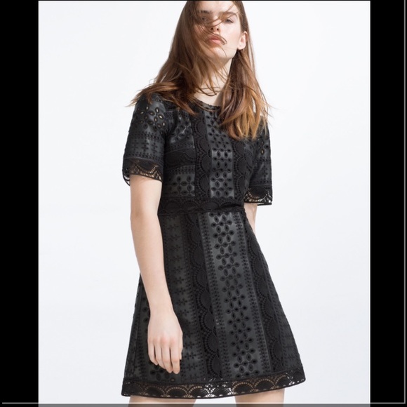 Zara Embroidered Leather Dress