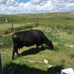 Meet your Posher, Charlene