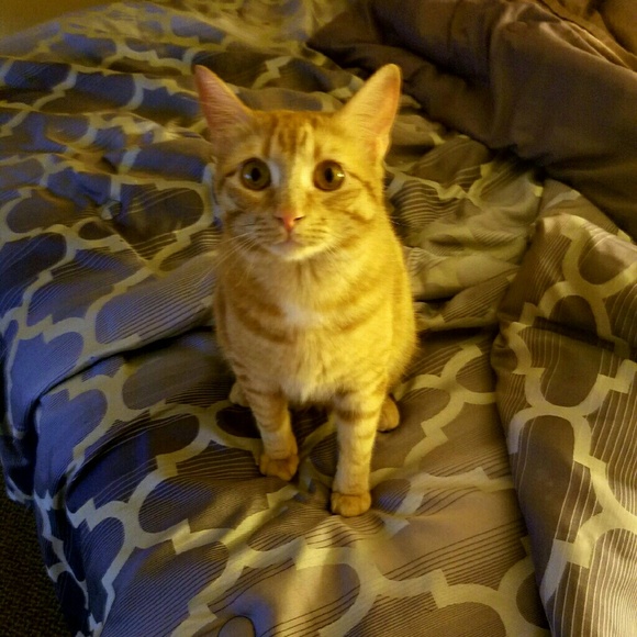 Meet your Posher, Margaret - Picture 2 of 2