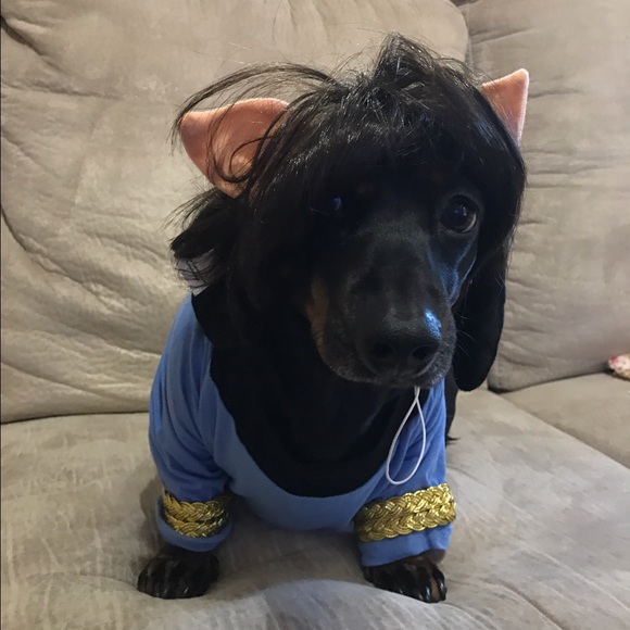 Mrs. Spock!! - Picture 4 of 4