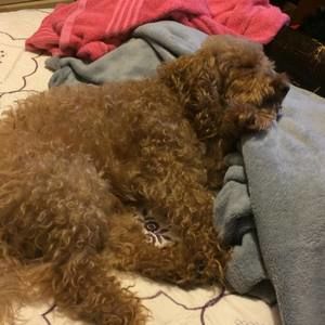 Meet your Posher, Juan