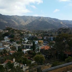 Meet your Posher, Lena